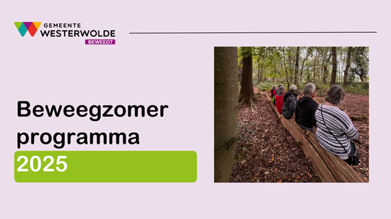 Nieuwsitems format website 